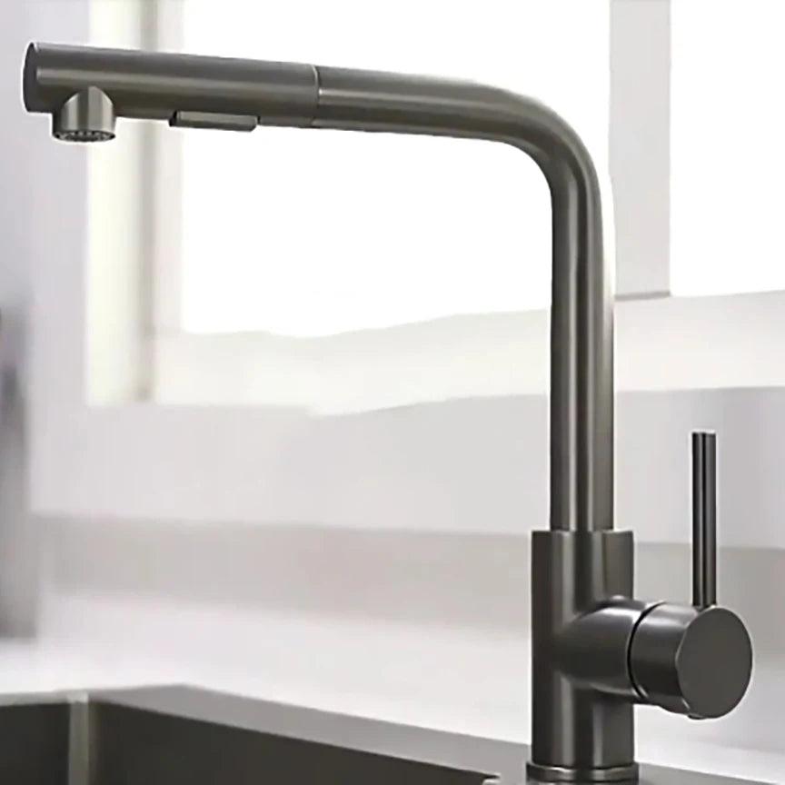 304 Stainless Steel Black Kitchen Faucet Two Function Single Handle Pull