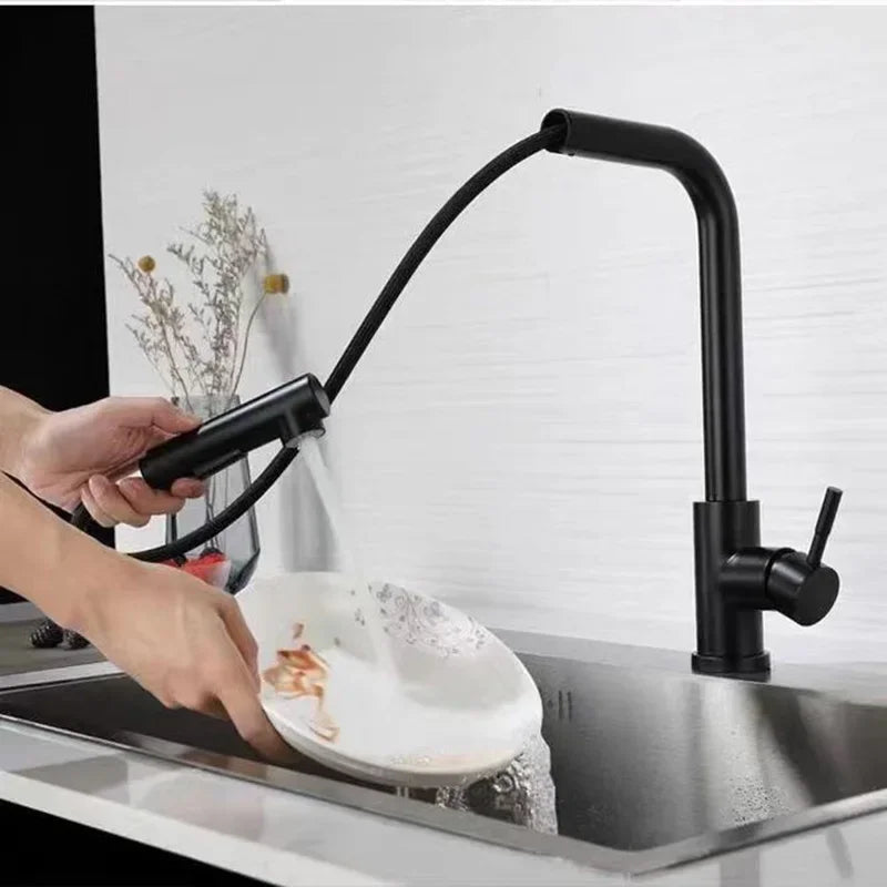 304 Stainless Steel Black Kitchen Faucet Two Function Single Handle Pull