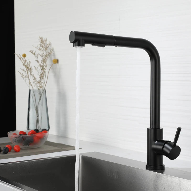 304 Stainless Steel Black Kitchen Faucet Two Function Single Handle Pull