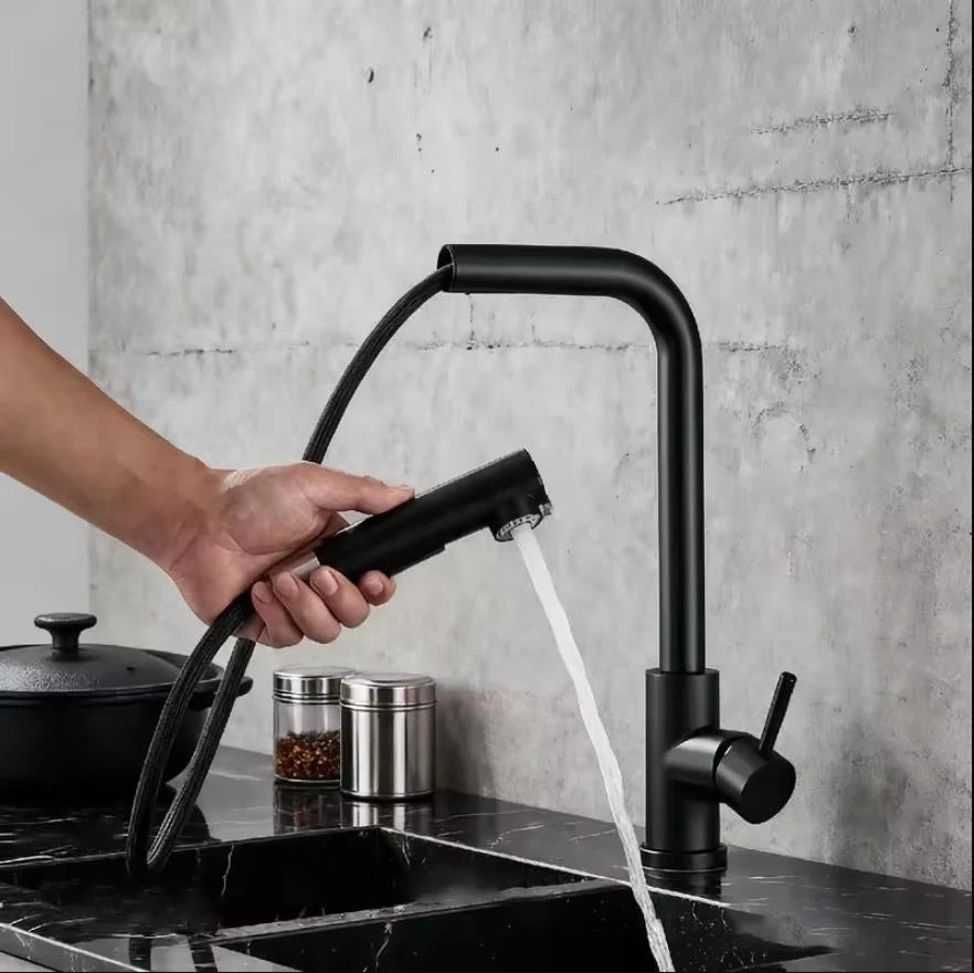 304 Stainless Steel Black Kitchen Faucet Two Function Single Handle Pull